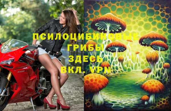 мяу мяу мука Заволжск