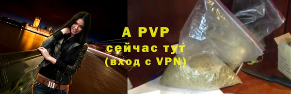 крисы Заводоуковск