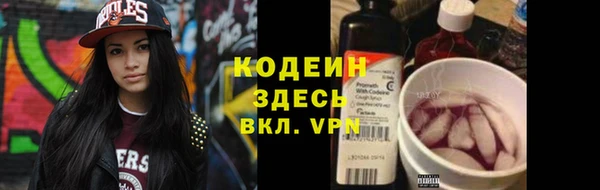 крисы Заводоуковск